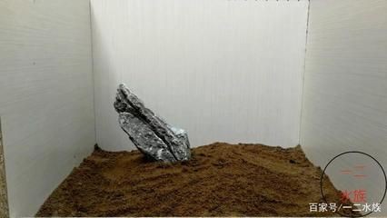 大魚缸如何造景好看又簡單的 大魚缸如何造景好看又簡單的 魚缸百科 第3張