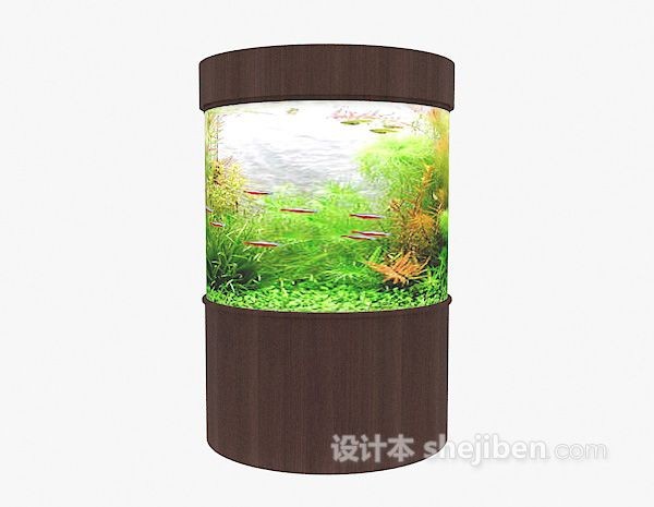 大魚缸如何造景好看又簡單的 大魚缸如何造景好看又簡單的 魚缸百科 第4張