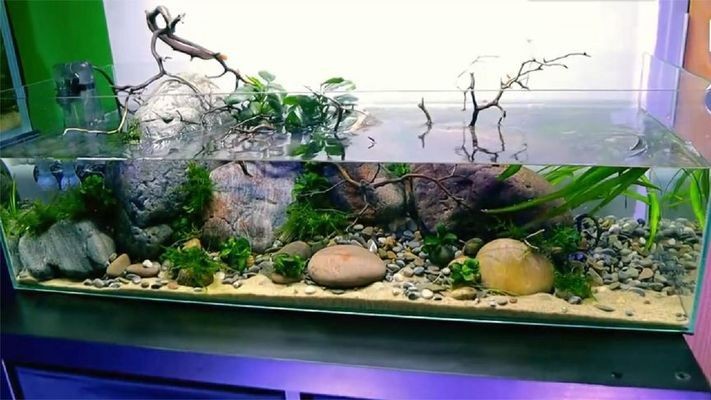 岐山縣立業水族館