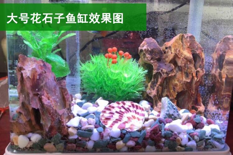慈鯛魚缸造景石頭用什么：慈鯛魚缸造景中常用的石頭種類及其特點(diǎn)