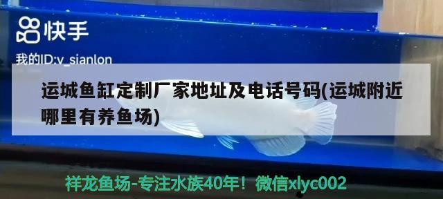 運城魚缸定制廠家地址及電話號碼(運城附近哪里有養魚場)