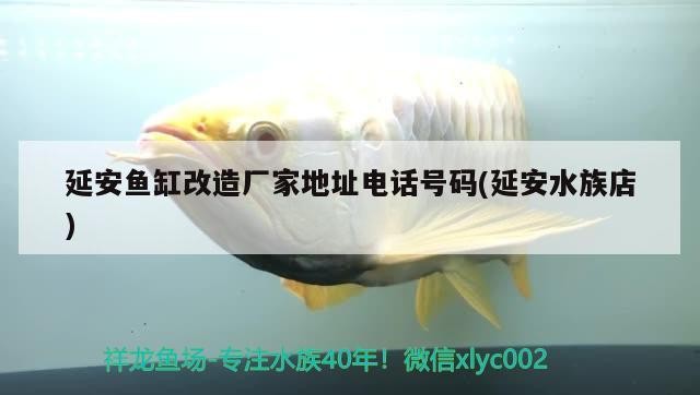 <strong><mark>延安</mark></strong>魚缸改造廠家地址電話號碼(<strong><mark>延安</mark></strong>水族店)
