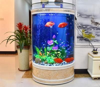 半圓形魚缸好不好：半圓形魚缸在風水學中被認為是金形，但存在一些缺點