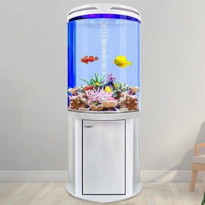 半圓形魚缸好不好：半圓形魚缸在風水學中被認為是金形，但存在一些缺點