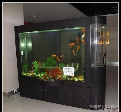 大型魚缸設計：大型魚缸材質的環保考量在設計大型魚缸材質的環?？剂? title=