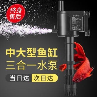 安裝魚(yú)缸過(guò)濾器：安裝魚(yú)缸過(guò)濾器的基本步驟及注意事項(xiàng)