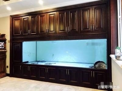 大魚缸側濾加裝：大魚缸加裝側濾時需要了解側濾的工作原理、濾材的擺放順序
