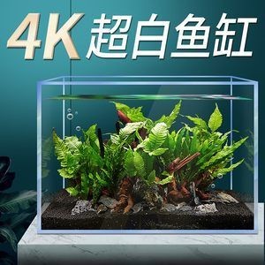 斗魚缸造景30缸好不好呢：30缸斗魚缸養(yǎng)護與管理養(yǎng)護與管理養(yǎng)護與管理養(yǎng)護 斗魚缸造景30缸好不好呢：30缸斗魚缸養(yǎng)護與管理養(yǎng)護與管理養(yǎng)護與管理養(yǎng)護 魚缸百科 第4張