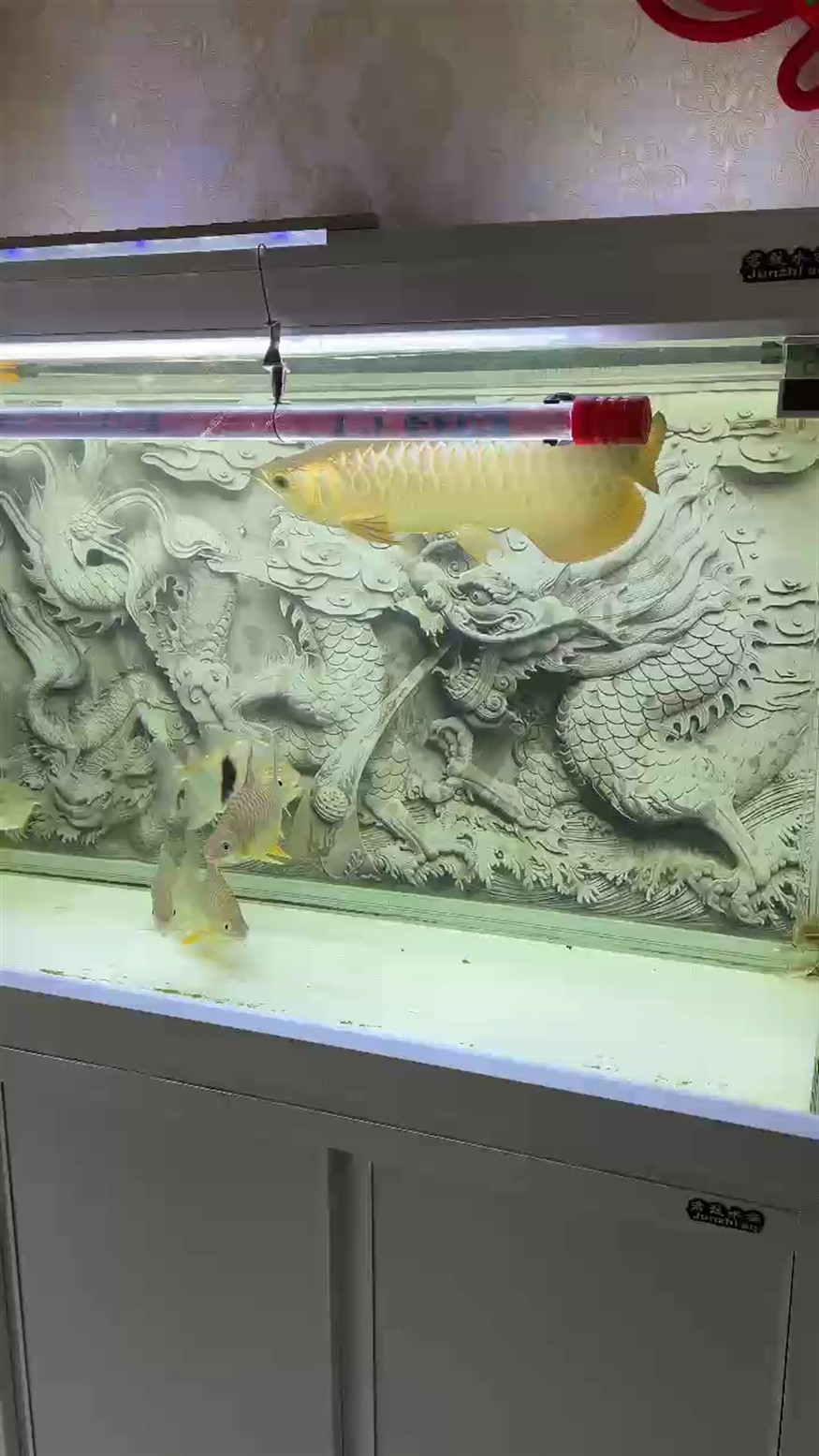 過(guò)背金