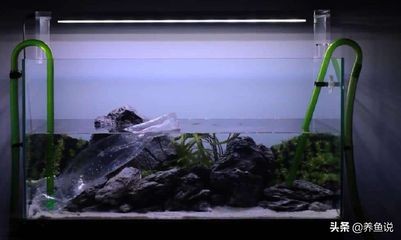 大魚缸多長時間換一次水合適：大魚缸換水時間隔可以根據(jù)季節(jié)和魚缸的具體情況進行調(diào)整