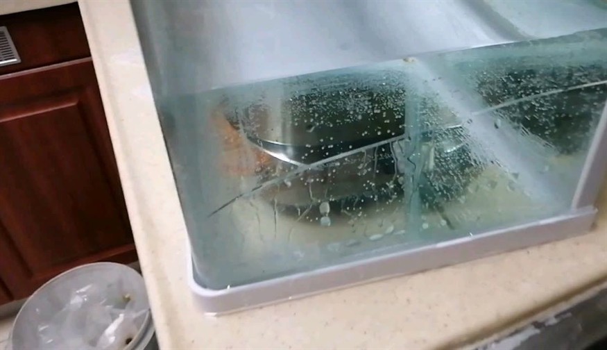 玻璃魚缸突然爆裂預兆什么：玻璃魚缸爆裂的原因及預防措施 玻璃魚缸突然爆裂預兆什么：玻璃魚缸爆裂的原因及預防措施 魚缸百科 第3張