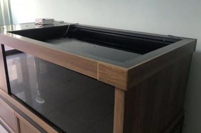 側濾魚缸改造升級方案怎么寫：側濾魚缸改造升級方案