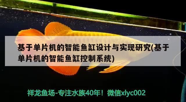 基于單片機(jī)的智能魚缸設(shè)計(jì)與實(shí)現(xiàn)研究(基于單片機(jī)的智能魚缸控制系統(tǒng))