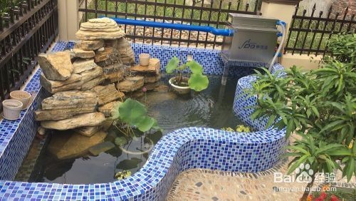 南和縣原森水族門市（南和水族館）