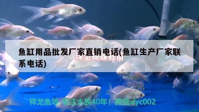 魚缸用品批發廠家直銷電話(魚缸生產廠家聯系電話) 魚缸用品批發廠家直銷電話(魚缸生產廠家聯系電話) 虎魚百科