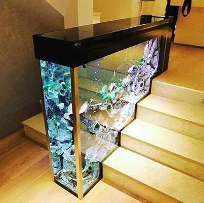 大魚缸換水可以直接用自來水嗎為什么要換水：大魚缸換水不建議直接使用自來水且換水的科學方法