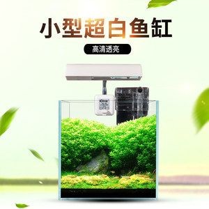 斗魚缸需要造景嗎：斗魚缸是否需要造景 斗魚缸需要造景嗎：斗魚缸是否需要造景 魚缸百科 第1張
