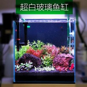 斗魚缸需要造景嗎：斗魚缸是否需要造景 斗魚缸需要造景嗎：斗魚缸是否需要造景 魚缸百科 第3張