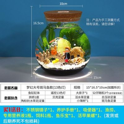 斗魚缸需要造景嗎：斗魚缸是否需要造景 斗魚缸需要造景嗎：斗魚缸是否需要造景 魚缸百科 第4張