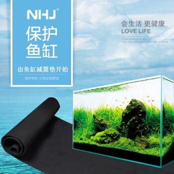 超白小魚缸墊用什么顏色好看：超白小魚缸墊使用什么顏色好看 超白小魚缸墊用什么顏色好看：超白小魚缸墊使用什么顏色好看 魚缸百科 第2張
