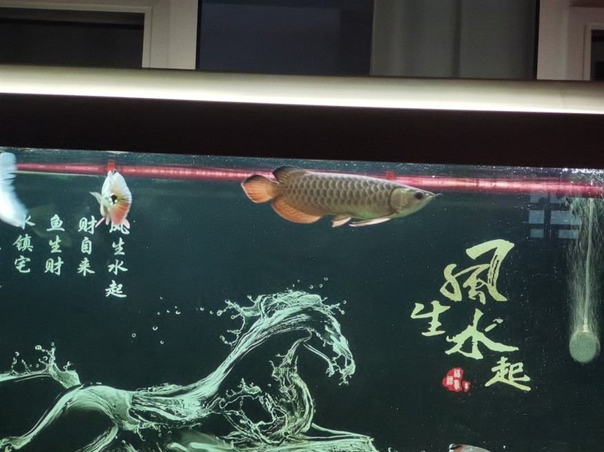 看不出啥變化[wabi]