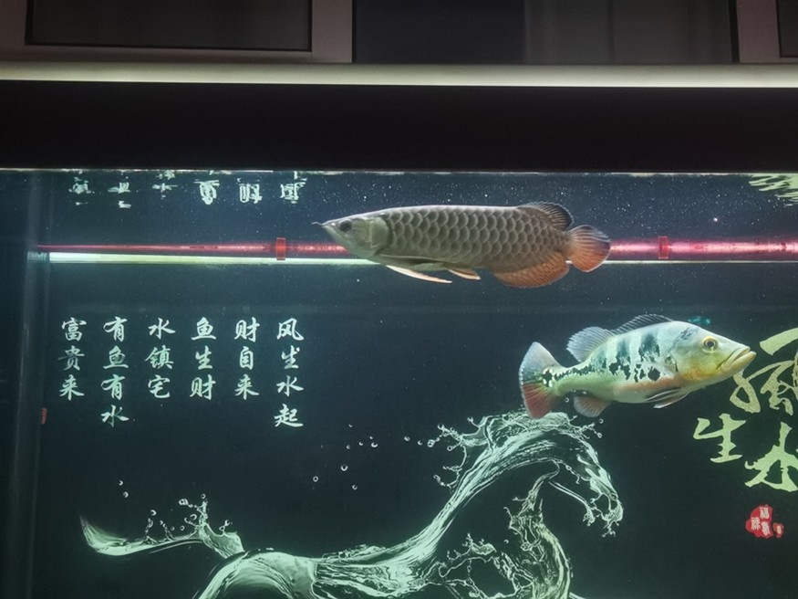 看不出啥變化[wabi]