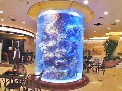 大型圓柱形魚缸酒店：大型亞克力圓柱形魚缸養護需要注意以下幾個方面