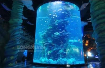 大型圓柱形魚缸酒店：大型亞克力圓柱形魚缸養護需要注意以下幾個方面