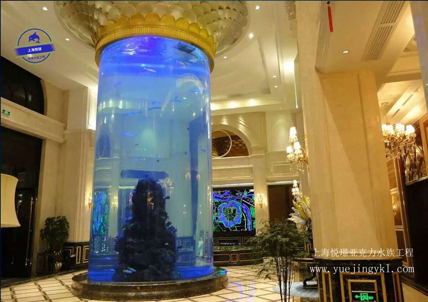 大型圓柱形魚缸酒店：大型亞克力圓柱形魚缸養護需要注意以下幾個方面