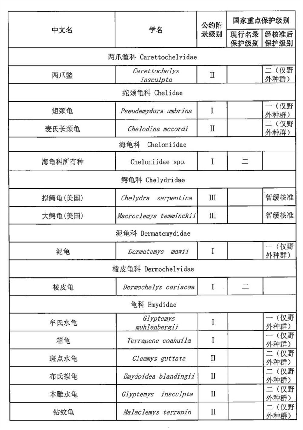 飼養豬鼻龜到底合不合法