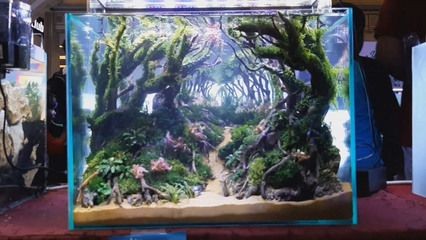 超小魚缸造景效果圖：尋找超小魚缸造景效果圖的幾個方面來理解和欣賞和欣賞 超小魚缸造景效果圖：尋找超小魚缸造景效果圖的幾個方面來理解和欣賞和欣賞 魚缸百科 第3張