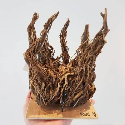搬運魚缸時碰壞了,柜子完好,光買缸子可以么？：魚缸在搬運過程中損壞了怎么辦？