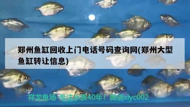 鄭州魚(yú)缸回收上門(mén)電話號(hào)碼查詢網(wǎng)(鄭州大型魚(yú)缸轉(zhuǎn)讓信息)