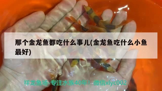 魚缸用增氧泵價格是多少:魚缸增氧機-xtrac增氧機-xtrac增氧機 那個金龍魚都吃什么事兒(金龍魚吃什么小魚最好) 虎魚百科 那個金龍魚都吃什么事兒(金龍魚吃什么小魚最好) 那個金龍魚都吃什么事兒(金龍魚吃什么小魚最好) 虎魚百科