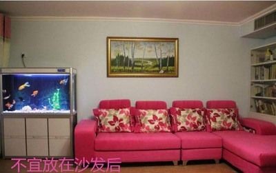 白石能放魚缸嗎：白石可以放入魚缸嗎？