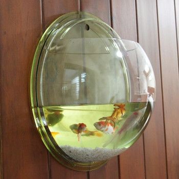 大型圓形透明亞克力魚缸：大型亞克力魚缸定做流程及注意事項(xiàng)