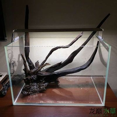 沉木對魚缸到底有沒有好處：沉木對魚缸有什么好處？
