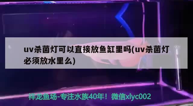 uv殺菌燈可以直接放魚缸里嗎(uv殺菌燈必須放水里么) uv殺菌燈可以直接放魚缸里嗎(uv殺菌燈必須放水里么) 豬鼻龜百科