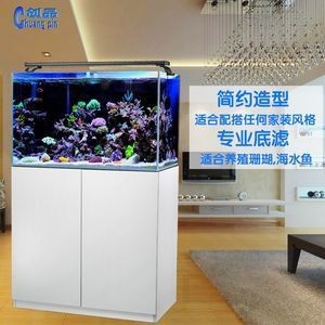白魚缸適合養什么魚最好養：白色魚缸適合養什么魚