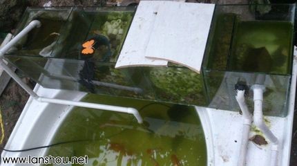 大型魚(yú)缸廢物利用圖：大型魚(yú)缸的廢物利用 大型魚(yú)缸廢物利用圖：大型魚(yú)缸的廢物利用 魚(yú)缸百科 第3張