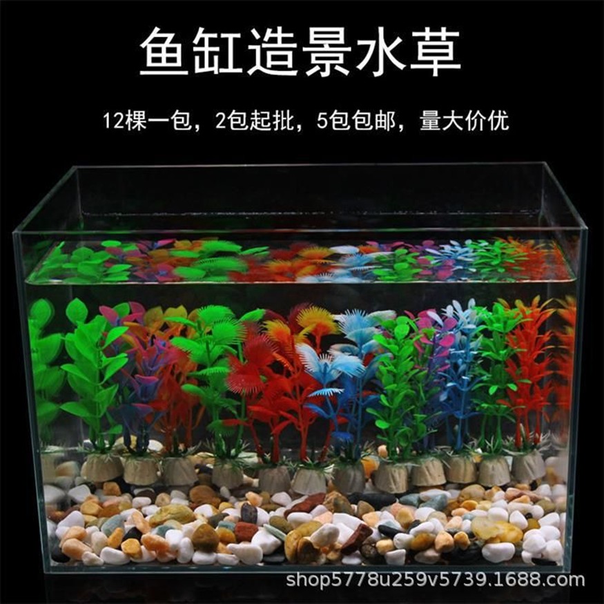 10厘米魚缸造景圖片：10厘米的魚缸造景圖片