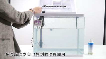 冬天怎么給魚缸保暖：冬天給魚缸保暖的一些方法，冬季養(yǎng)魚需要注意什么