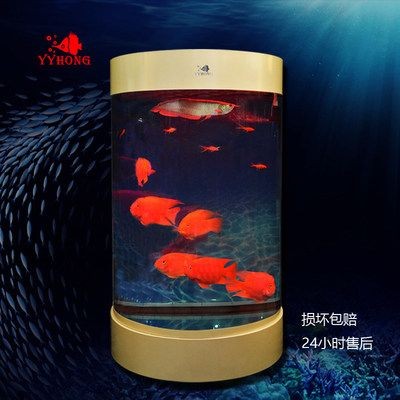 半圓魚缸風水好嗎：半圓形魚缸在風水上有什么好處？