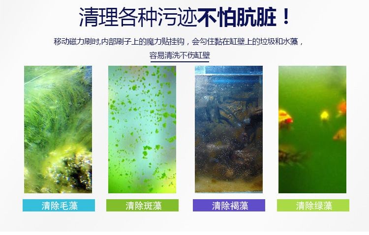 擦魚缸用什么布：擦魚缸時選擇正確的清潔工具和布料是非常重要的
