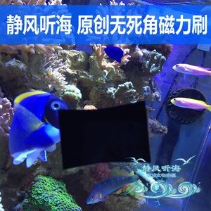 擦魚缸用什么布：擦魚缸時選擇正確的清潔工具和布料是非常重要的