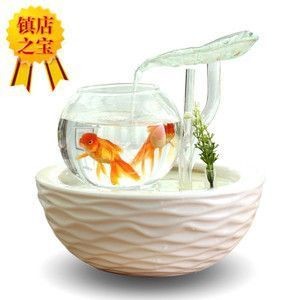 集寧區浩海水族店（集寧區浩海水族店地址）