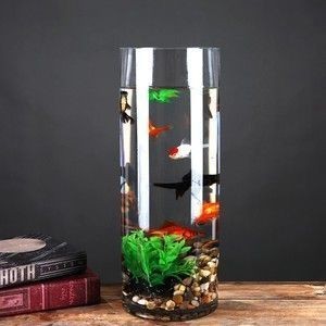 石家莊市橋東區銘鯉塘觀賞魚銷售中心（石家莊鯉魚批發電話） 石家莊市橋東區銘鯉塘觀賞魚銷售中心（石家莊鯉魚批發電話） 全國水族館企業名錄 第1張