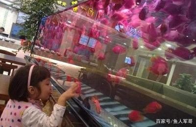玻璃魚缸突然炸裂了：玻璃魚缸炸裂的原因及防范措施