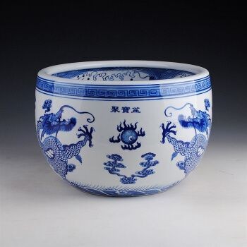 龍魚(yú)的缸要多大的水