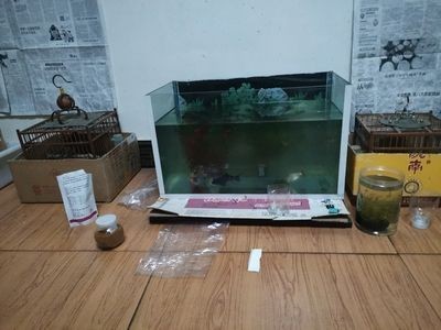 龍魚的過(guò)濾材料怎么用的